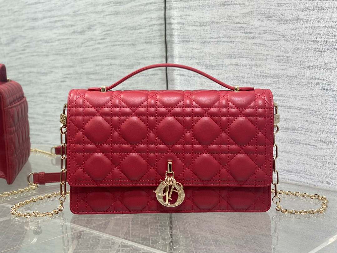 디올 여자가방
