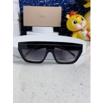 디올 선글라스