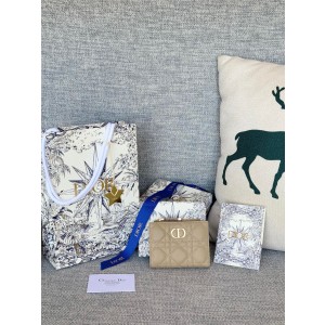 디올 S5173UBHZ_M928 여자 카드지갑 머니클립